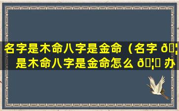 名字是木命八字是金命（名字 🦈 是木命八字是金命怎么 🦅 办）